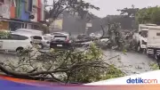Cuaca Ekstrem Bekasi: Hujan Es dan Angin Kencang Picu Pohon Tumbang