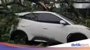 Cuaca Ekstrem Bogor: Pohon Tumbang Rusak Rumah, Timpa Mobil, dan Rusak Sekolah