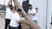 Familia Urban Perkuat Green Living dengan Penanaman 100 Pohon Trembesi di Bekasi