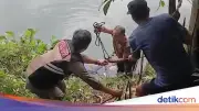 Geger Penemuan Jasad Pria Mengambang di Bekas Galian Tambang Cileungsi, Bogor
