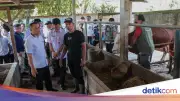 Gubernur Jateng Tinjau Program Healing untuk Jaga Kesehatan Hewan Kurban Jelang Iduladha