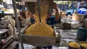 Harga Kedelai di Jakarta Tembus Rp 20 Ribu, Pemprov DKI Dorong Urban Farming