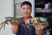 Huang Yiliang, Mantan Aktor Singapura yang Kini Jadi Penjual Ikan dan Pedagang Kaki Lima