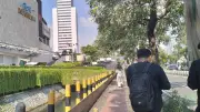 Ikan Sapu-Sapu Bergelombang di Kali Plaza Indonesia, Warga: Justru Indah dan Bermanfaat