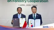 Indonesia dan Korea Selatan Perkuat Kerja Sama Penanganan Kebakaran Hutan