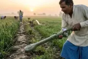 Inovasi Tongkat Pintar India Lindungi Petani dari Gigitan Ular di Sawah