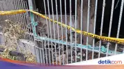 Keluarga 5 Orang Tewas dalam Kebakaran Maut di Rumah Jakbar, Bangunan Digaris Polisi