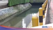 Kondisi Kali Cideng Depan Plaza Indonesia Pasca Operasi Pembersihan Ikan Sapu-Sapu