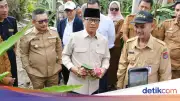 Mendes Yandri Dukung Penuh Pengembangan Desa Tematik Buah Naga di Luwuk Utara