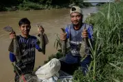 Mengapa Ikan Sapu-Sapu di Amazon Bisa Dimakan, Sedangkan di Ciliwung Tidak?