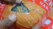 Pengedar Ganja 3,6 Kg Ditangkap di Stasiun Tanah Abang Saat Ambil Paket dari Ekspedisi
