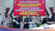 Polda Sumsel Bongkar Ladang Ganja 20 Hektare di Empat Lawang, Sita 220 Kg