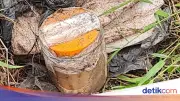 Polisi Selidiki Temuan Stoples Berisi Air Keras dan Tiga Jari Manusia di Samarinda