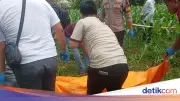 Pria Misterius Tewas di Kebun Jagung Bogor, Pegang Pisau Saat Ditemukan
