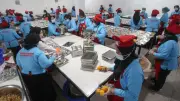Program MBG Capai 62 Juta Penerima dan 1,1 Juta Relawan dalam Satu Tahun