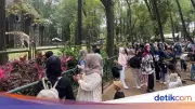 Ribuan Wisatawan Serbu Ragunan Saat Libur Jumat Agung, Capai 30.000 Pengunjung