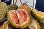 Srengege Wetan, Durian Banyuwangi yang Mencuri Perhatian Pecinta Kuliner