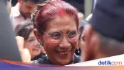 Susi Pudjiastuti Usul Ikan Sapu-sapu Diolah Jadi Pelet dan Pupuk