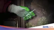 Teror Air Keras Serang Dua Pelajar SMA di Parungpanjang Bogor, Polisi Selidiki