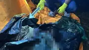 Tragedi Mutilasi Ibu oleh Anak di Lahat, Motifnya Diduga untuk Judi Daring