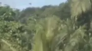 Video Viral Helikopter PK-CFX Terbang Rendah Sebelum Kecelakaan Maut di Sekadau