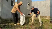 Wamen LH Dorong Pemilahan Sampah dari Hulu untuk Hentikan Open Dumping Juli Ini