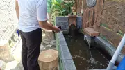 Warga Gandaria Utara Bangun Ketahanan Pangan di Gang Sempit Lewat Budidaya Ikan