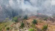 Waspada Peningkatan Karhutla Akibat El Nino, BMKG Ungkap Langkah Mitigasi