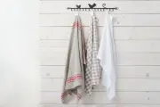 Waspada, Serbet Dapur Ternyata Sarang Kuman yang Berbahaya