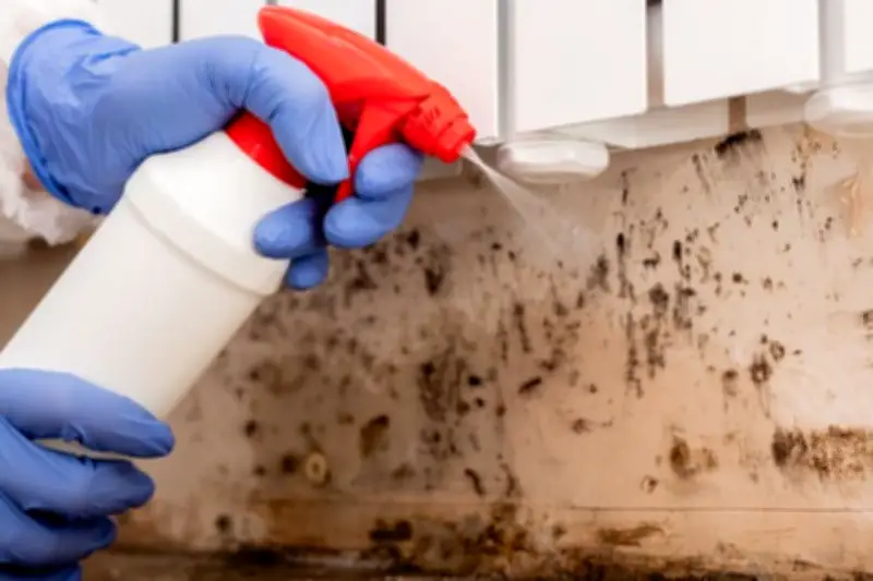 Cara Hilangkan Jamur di Plafon Kamar Mandi dengan Bahan Rumahan