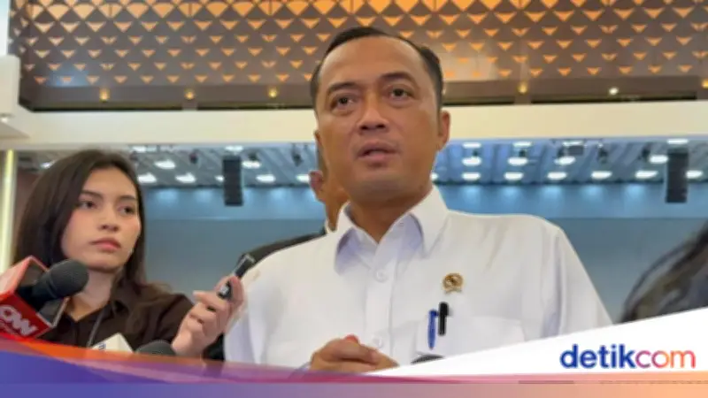 Pemerintah Pantau WNI Ditahan Israel, Koordinasi dengan Kemlu