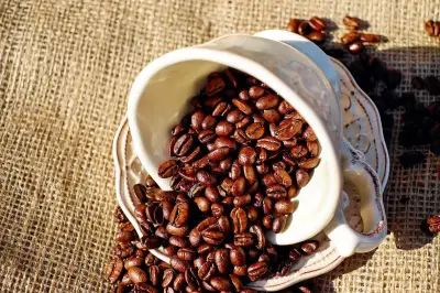9 Biji Kopi Terbaik Indonesia Versi TasteAtlas, Kopi Gayo Juara