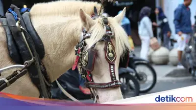 Asal Usul Istilah Debat Kusir Ternyata dari Kentut Kuda