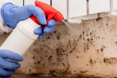 Cara Hilangkan Jamur di Plafon Kamar Mandi dengan Bahan Rumahan