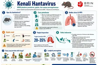 Cegah Penularan Hantavirus dengan Jaga Kebersihan, Ini Penjelasannya