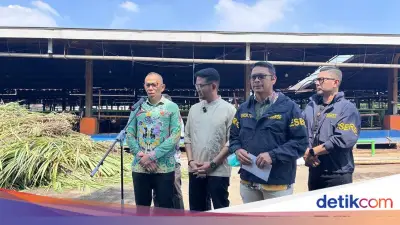DKI Waspadai Antraks Jelang Idul Adha, Hewan Kurban Diperiksa Ketat