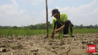 Enam Kabupaten di Jawa Timur Tetapkan Status Darurat Kekeringan