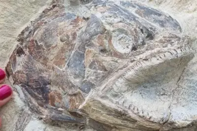 Fosil Ikan Purba di Antarktika Ungkap Transisi Hewan Laut ke Darat