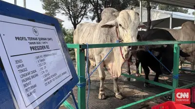 Gerindra Bantah Pelanggaran Aturan soal 1.098 Sapi Kurban Prabowo dari APBN