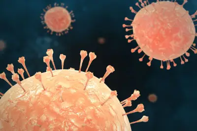 Hantavirus Merebak, Pakar Unair Jelaskan Gejala dan Penularannya