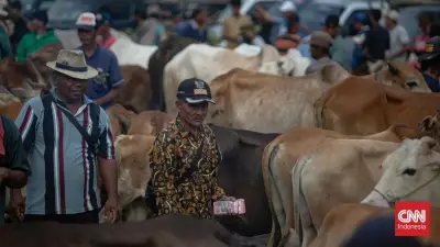 Kemenag Gelar Sidang Isbat Idul Adha Hari Ini, Ini Jadwalnya