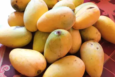Kesalahan Besar: Jangan Simpan Mangga Mentah di Kulkas, Ini Alasannya