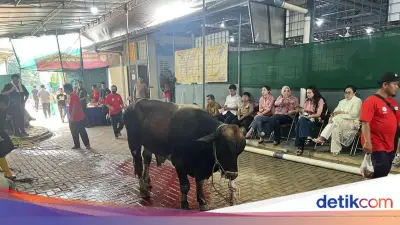 Masjid Raya Pondok Indah Terima 10 Sapi dan 35 Kambing