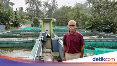 Pensiunan BUMN Sukses Budidaya Ikan Nila dengan Sistem Bioflok Berkat BRI