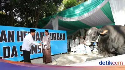 Polda Sumsel Salurkan 579 Hewan Kurban hingga ke Pelosok Daerah