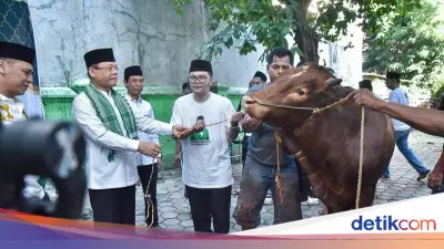 PPP Gelar Kurban Serentak Nasional, Salurkan Lebih dari 100 Hewan