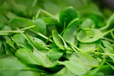 Sayur Paling Direkomendasikan Ahli Gizi untuk Kesehatan Otak dan Jantung