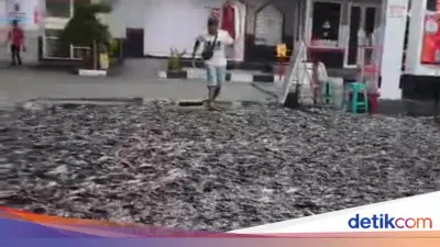 SPBU di Klaten Heboh, Ribuan Lele Tumpah dari Mobil