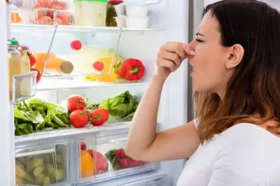 Telur Ayam dan Makanan yang Tak Boleh Disimpan di Freezer