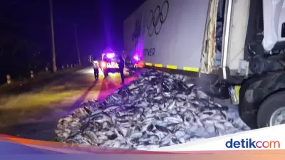 Truk Seruduk Truk di Grobogan, Muatan Ikan Tuna Berserakan di Jalan